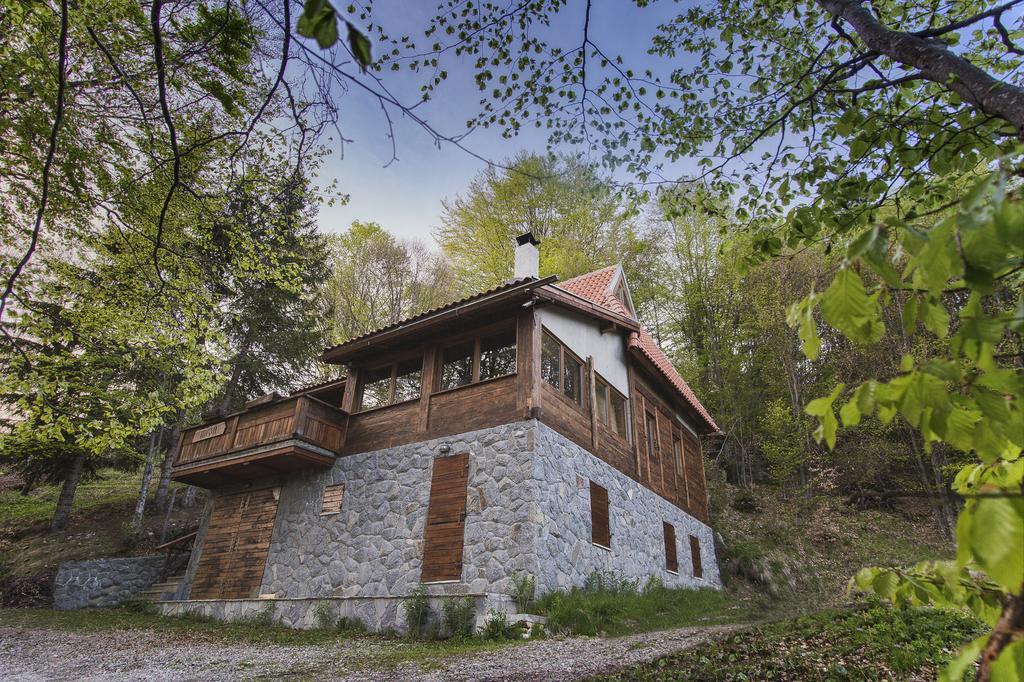 Guesthouse Sejn Kopaonik Exterior photo